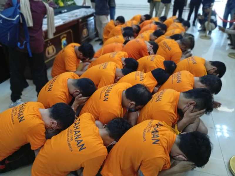 Search image article