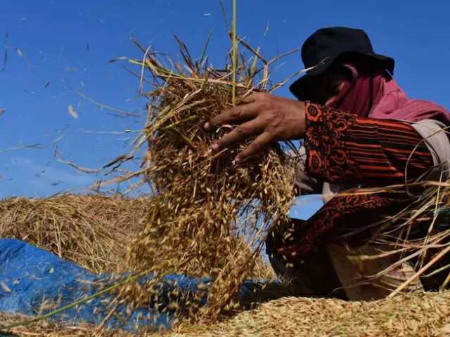 Search image article