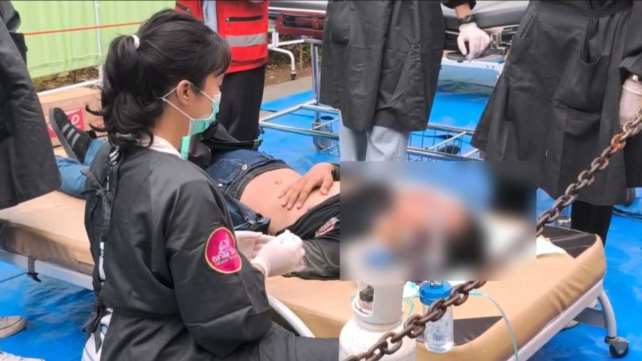 Search image article