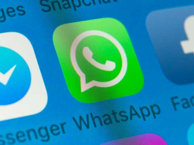 Search image article