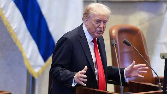 Search image article