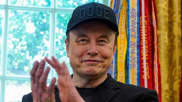 Search image article