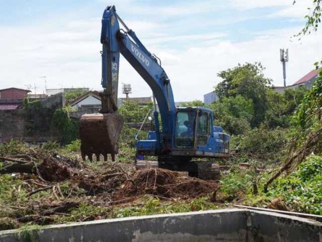 Search image article