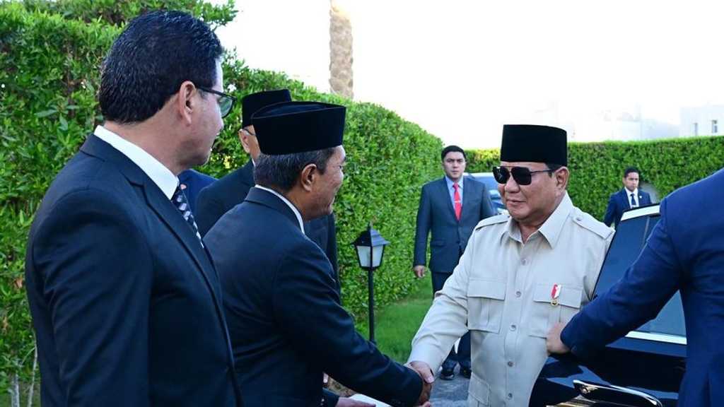 Search image article