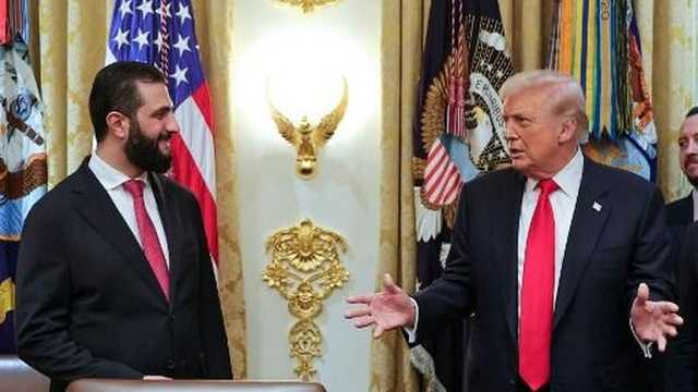 Search image article