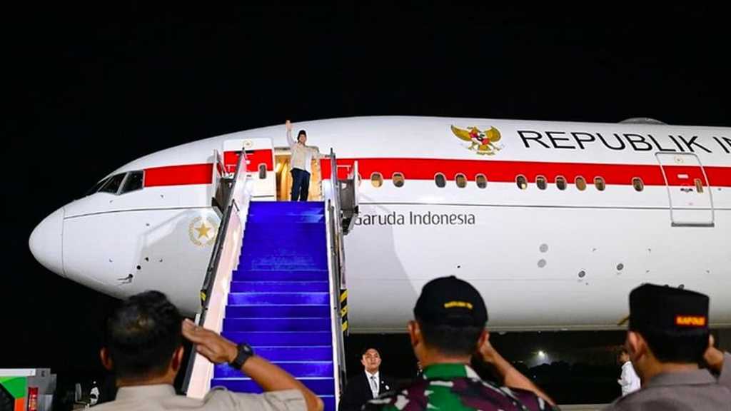 Search image article