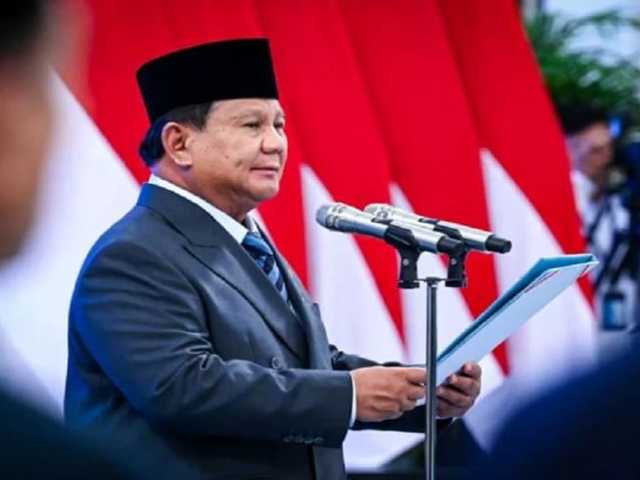 Search image article