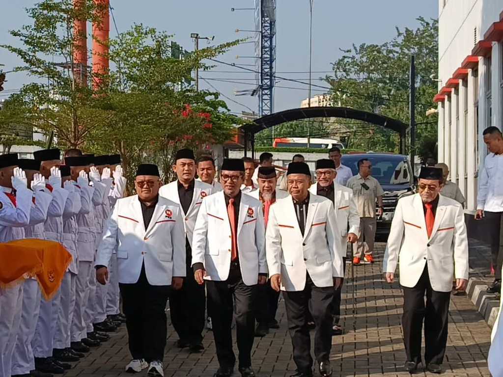 Search image article