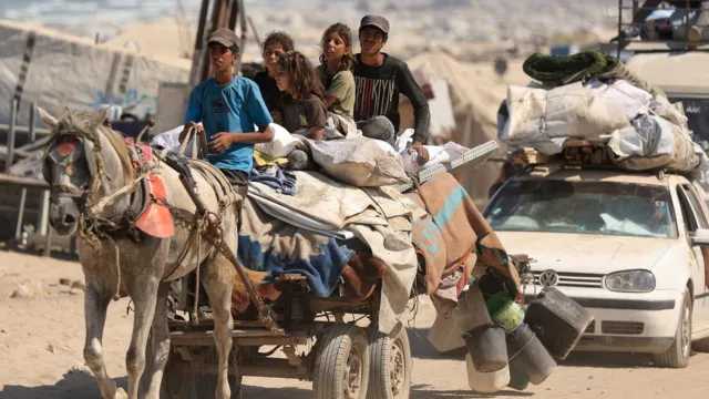 Search image article