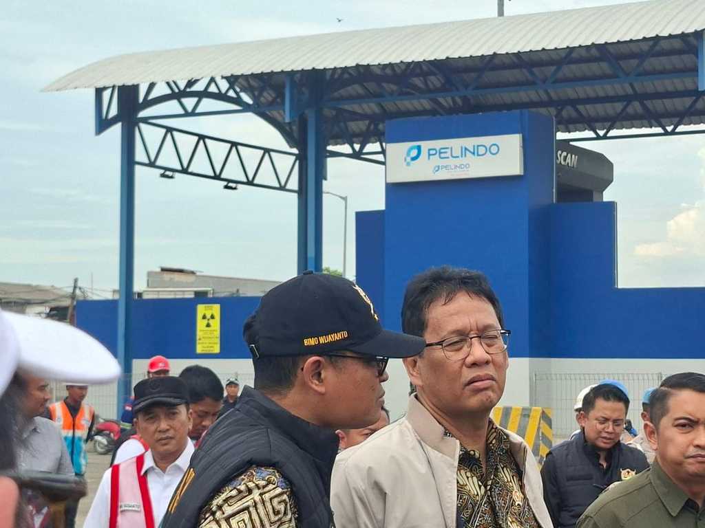 Search image article