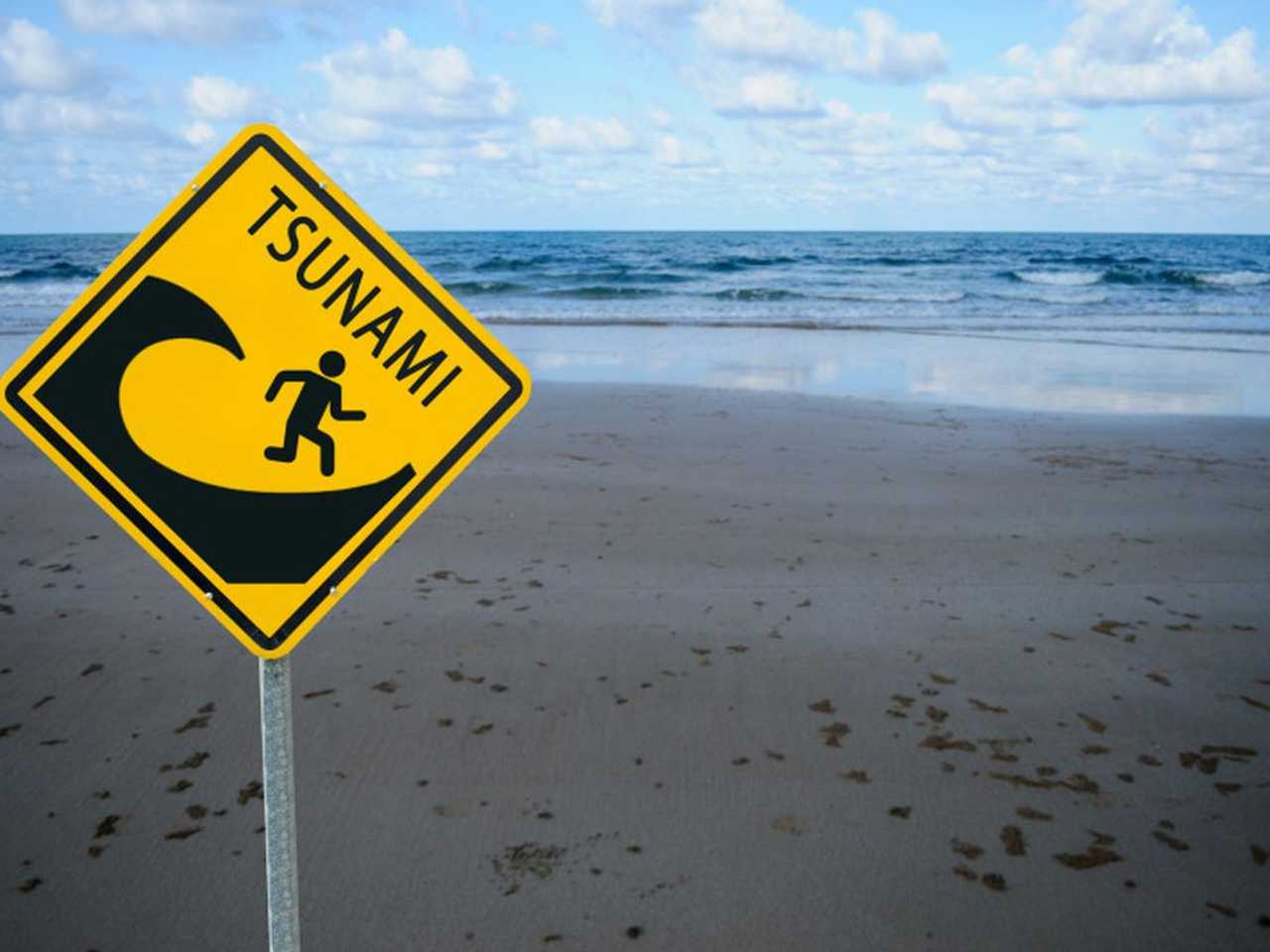 Search image article