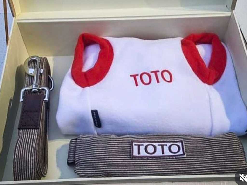 Prabowo Beri Kado Spesial untuk Anjing PM Australia, Toto