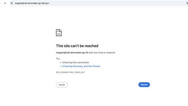 Situs Magang Nasional Kemnaker Eror, Pendaftaran Hari Pertama Terhambat