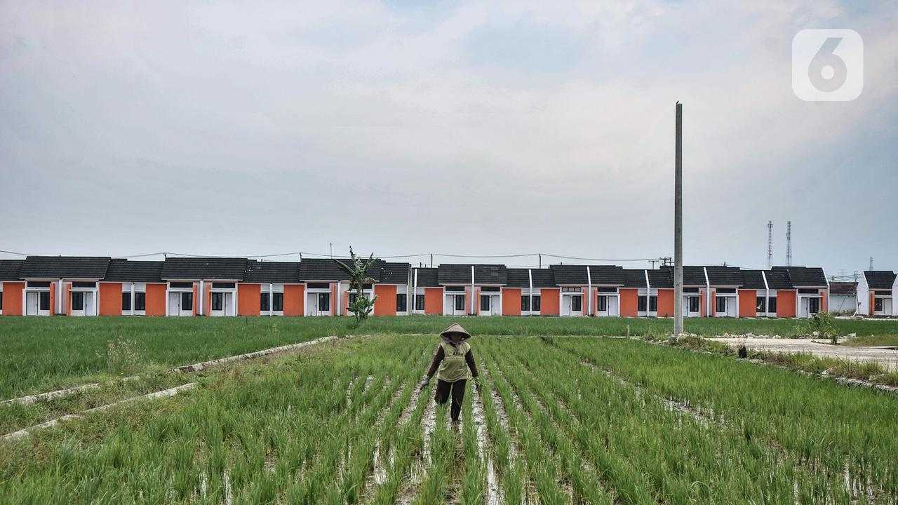 Search image article