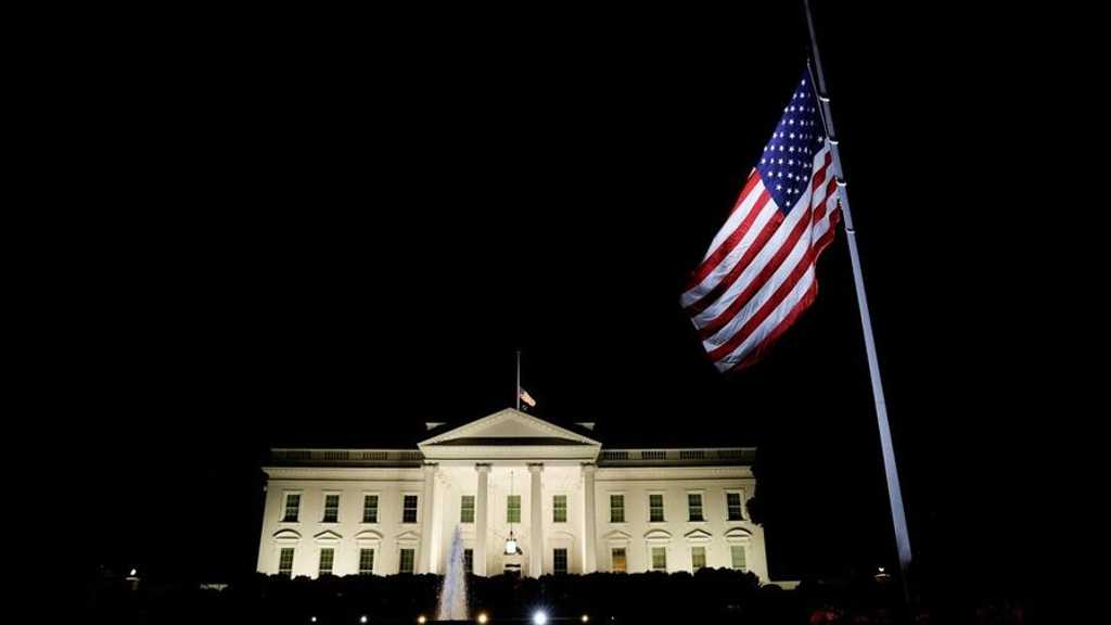 Search image article