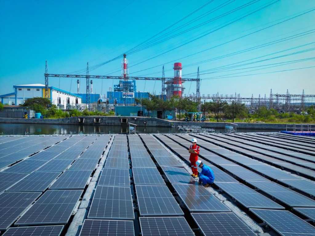 Search image article