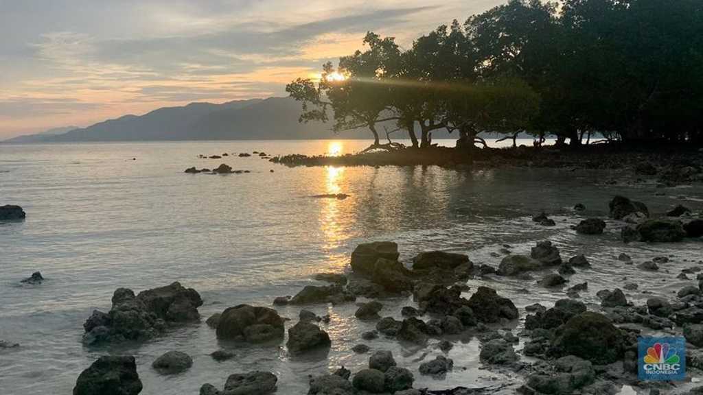 Alor Geger: Suhu Laut Anjlok Drastis ke 12°C, Fenomena Langka Belum Pernah Terjadi