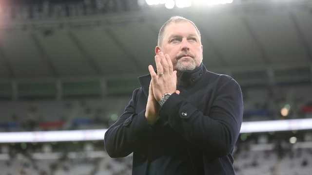 Search image article