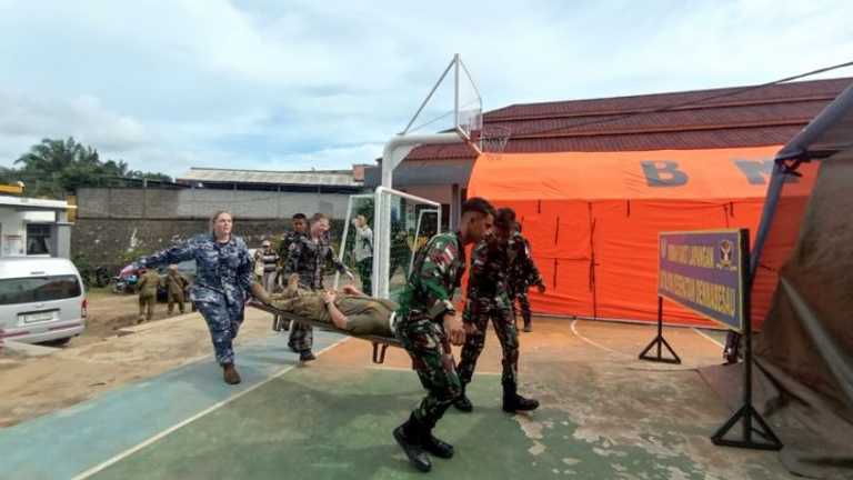 Search image article