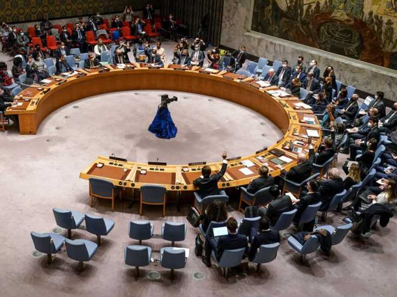 Search image article