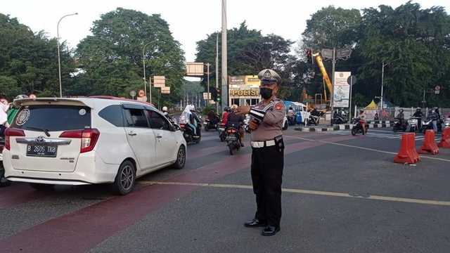 Search image article