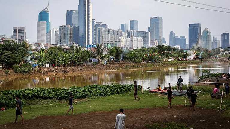 Search image article