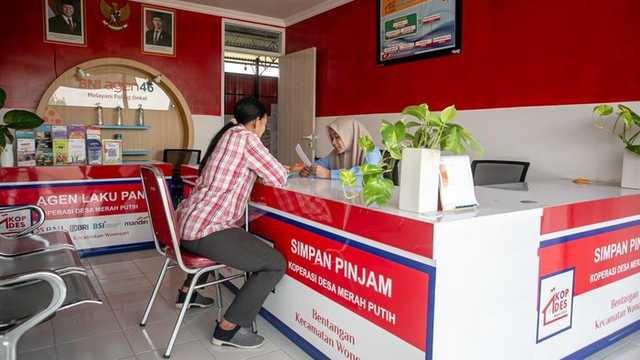 Search image article