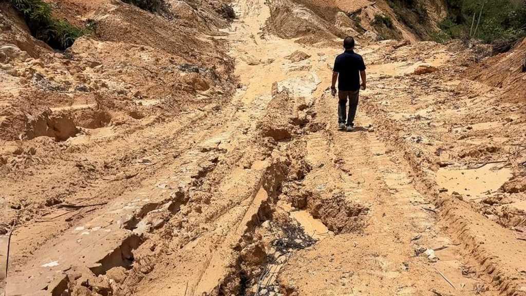 Search image article