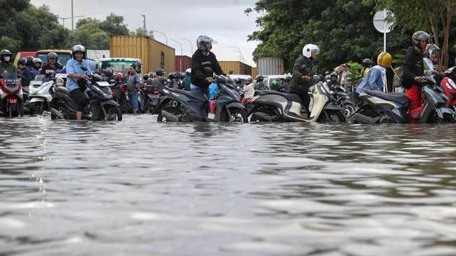 Search image article