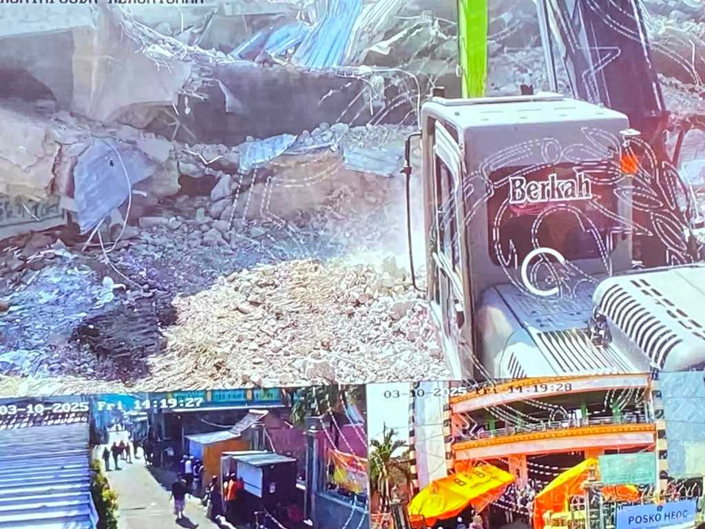 Search image article