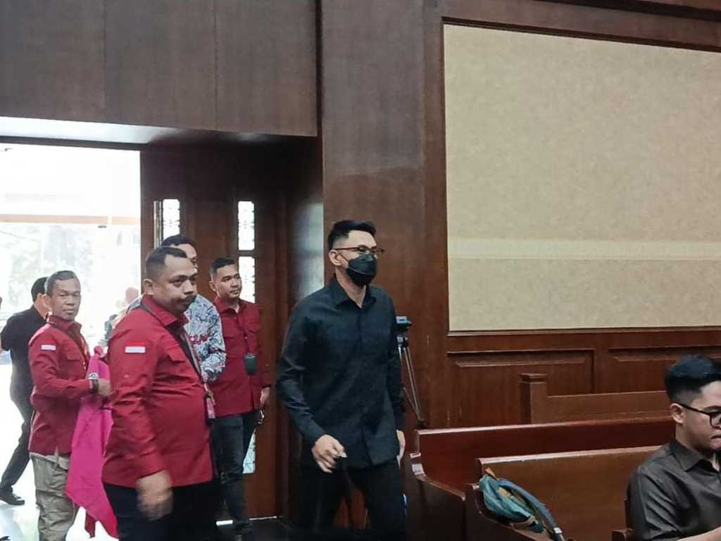 Search image article