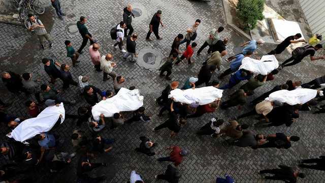 Search image article