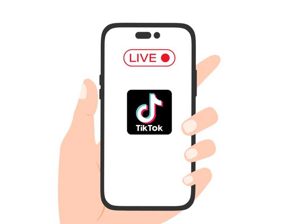 Search image article