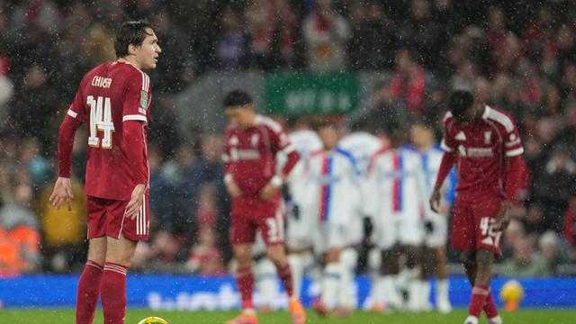 Search image article