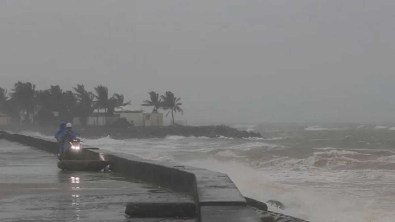 Search image article