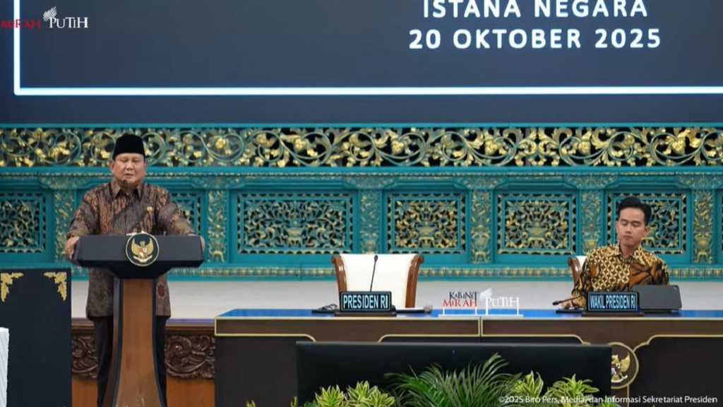 Search image article