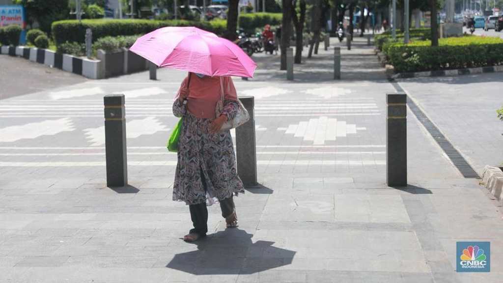 Search image article