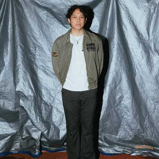 Search image article