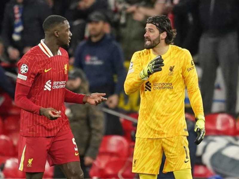 Search image article