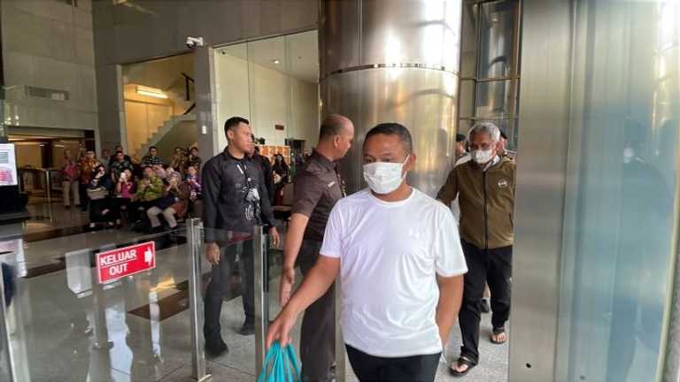 Search image article