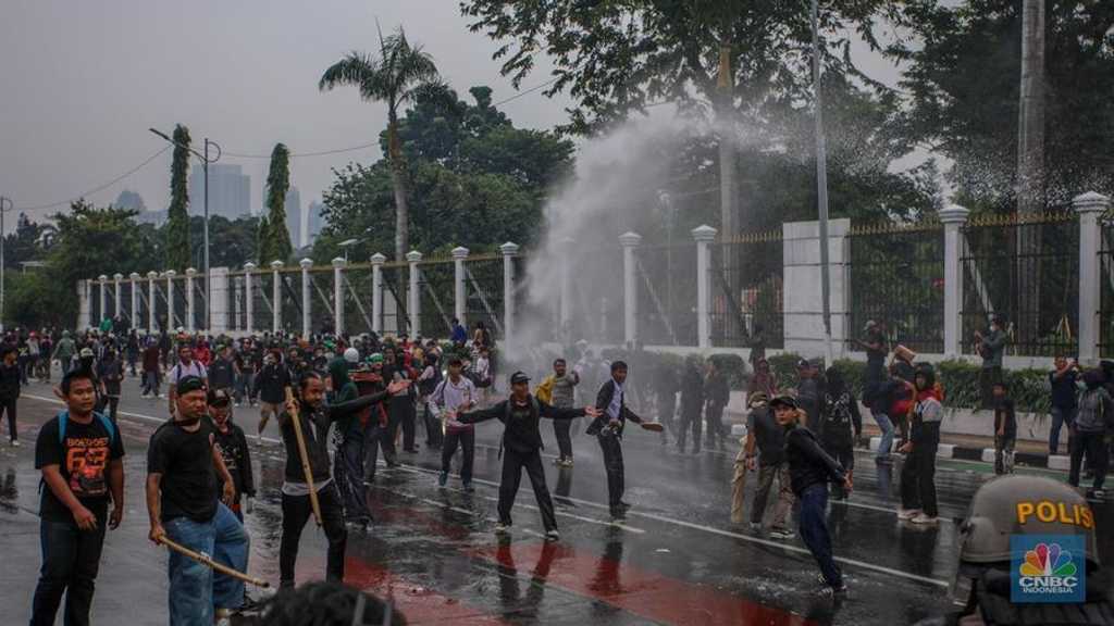 Search image article