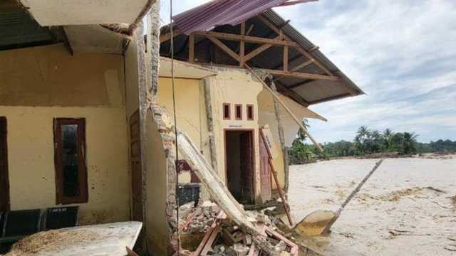 Search image article