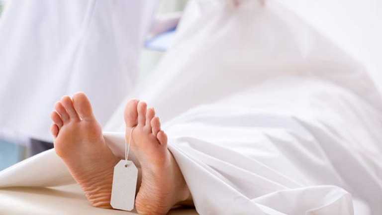 Bocah 5 Tahun Tewas Diserang Tawon Vespa di Bekasi, Kakak Selamat