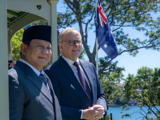 Search image article