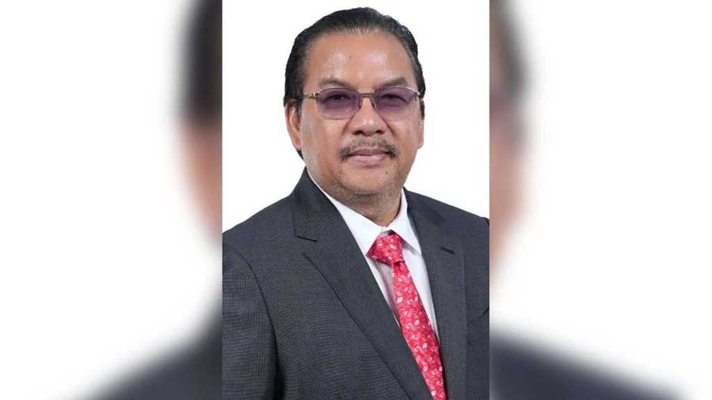 Search image article