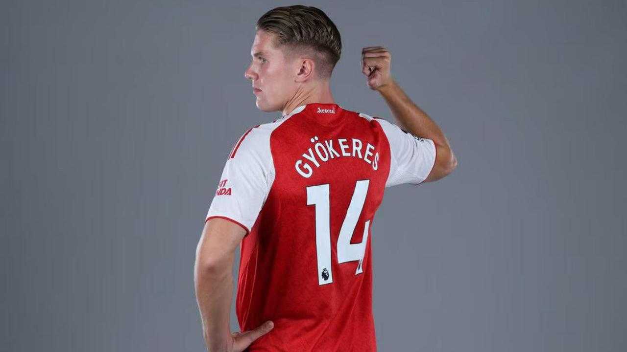 Search image article