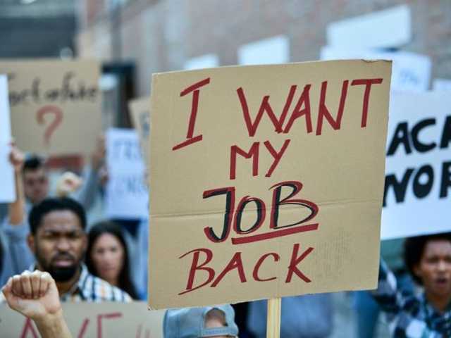 Search image article