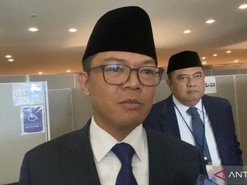 Search image article