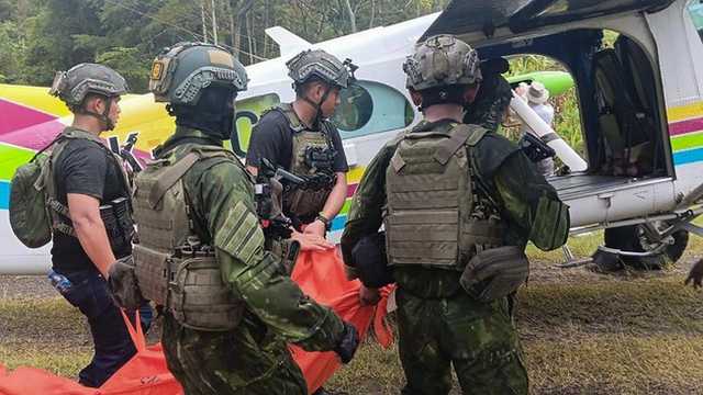 Search image article