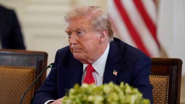 Search image article